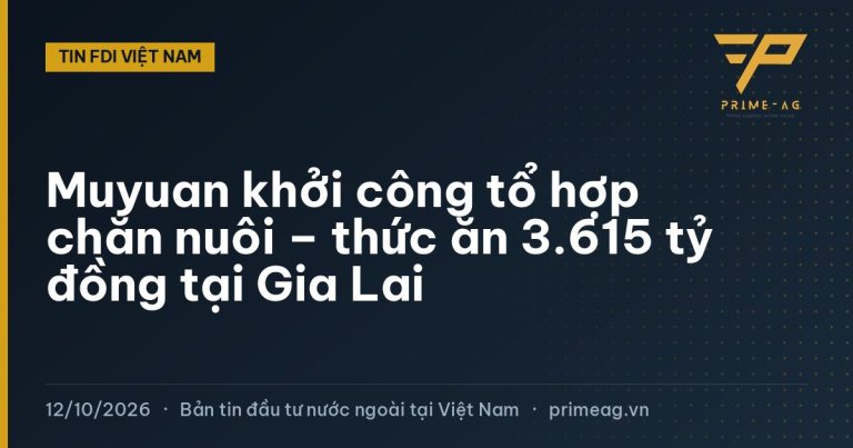 Muyuan khởi công tổ hợp chăn nuôi – thức ăn 3.615 tỷ đồng tại Gia Lai