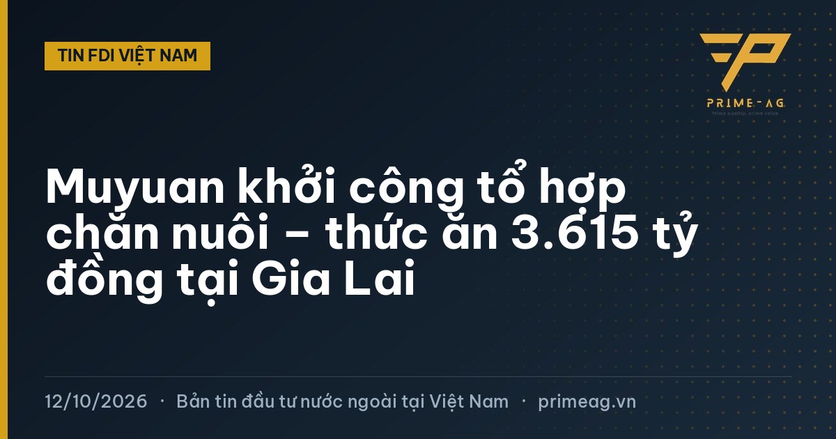 Muyuan khởi công tổ hợp chăn nuôi – thức ăn 3.615 tỷ đồng tại Gia Lai